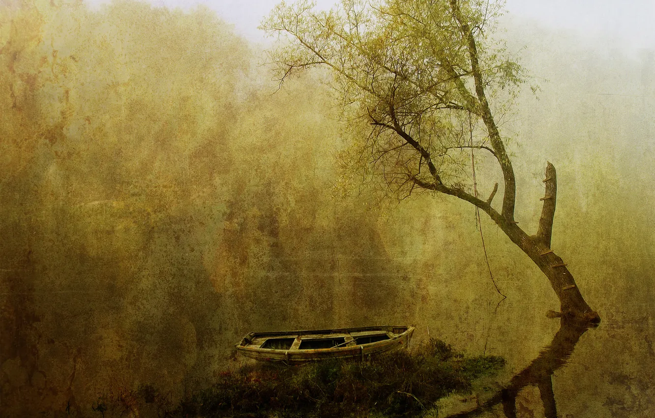 Photo wallpaper water, trees, fog, boat, picture