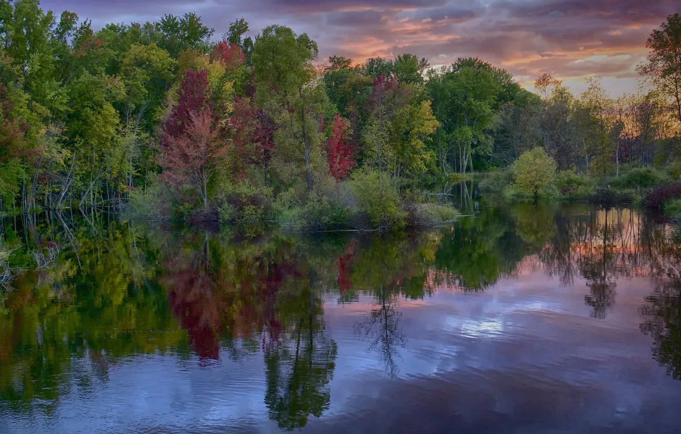 Photo wallpaper autumn, forest, the sky, clouds, river, the evening