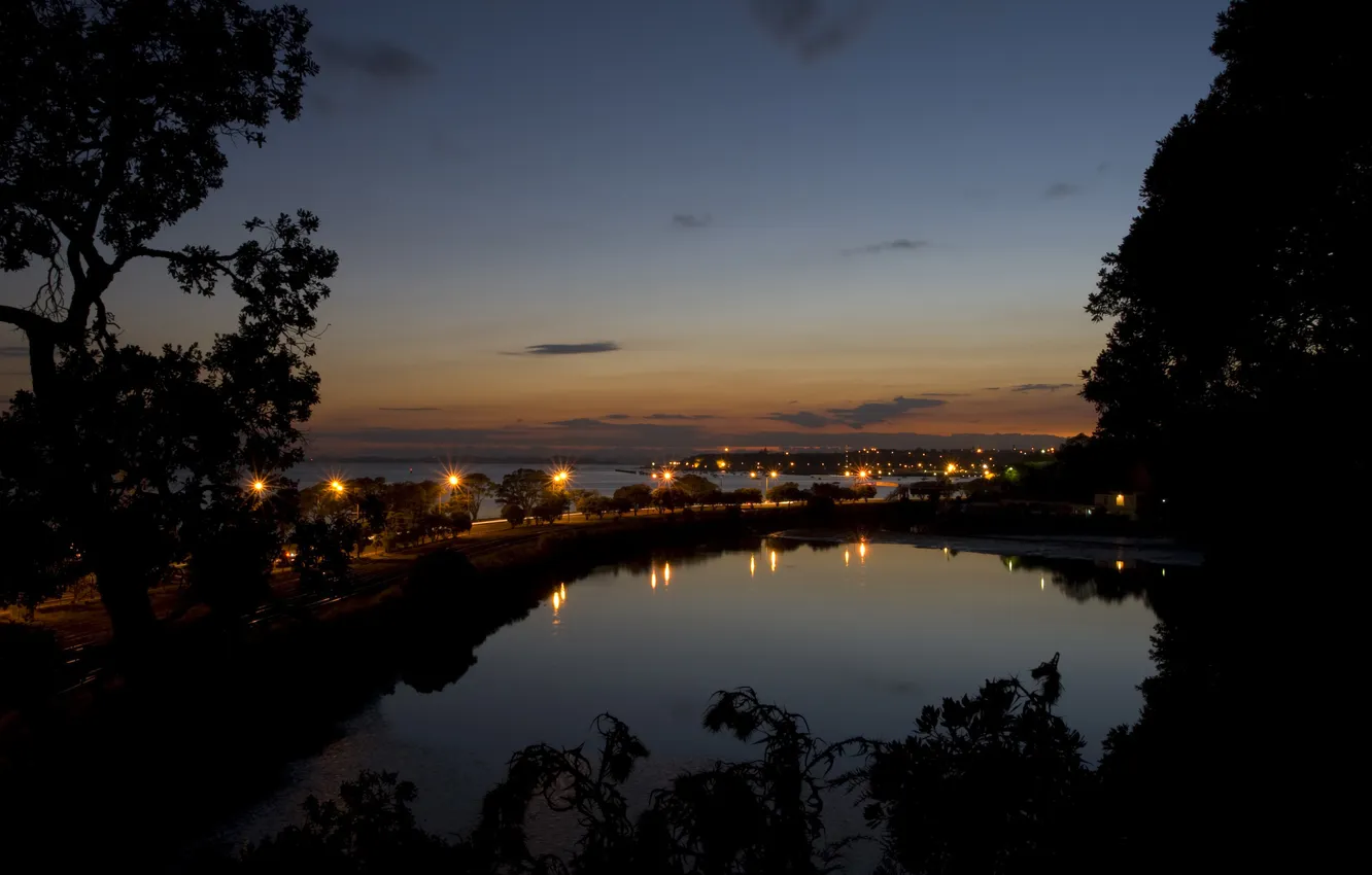 Photo wallpaper light, trees, lights, Wallpaper, night city