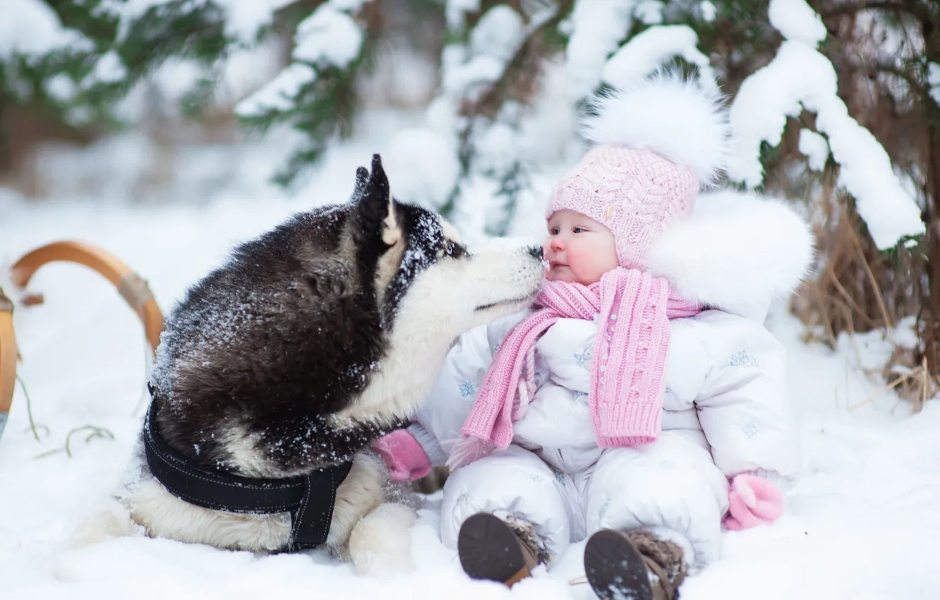 Photo wallpaper dog, winter, snow, husky, childhood, kid, kids