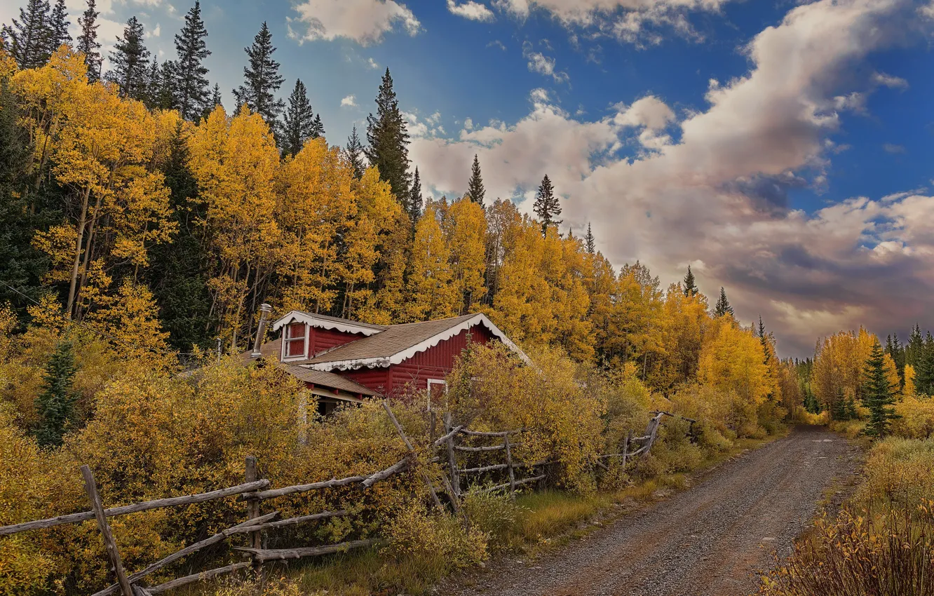 Photo wallpaper road, autumn, forest, home