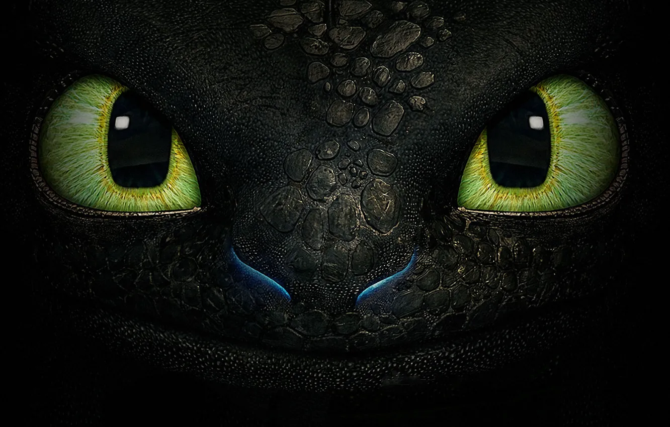 Photo wallpaper eyes, fantasy, dragon, cartoon, texture, Toothless, the night fury