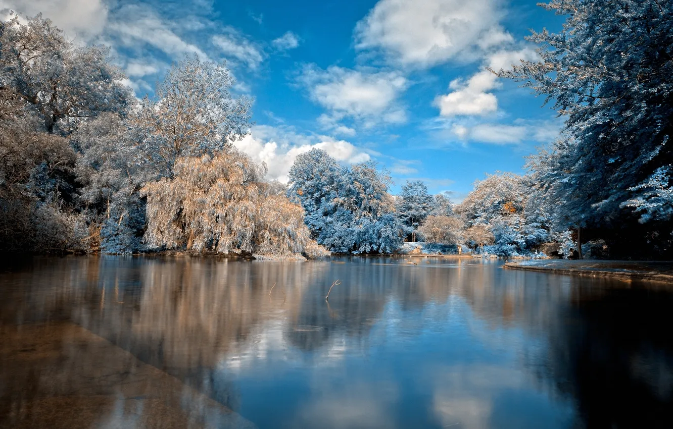 Photo wallpaper winter, water, clouds, snow, trees, lake, surface