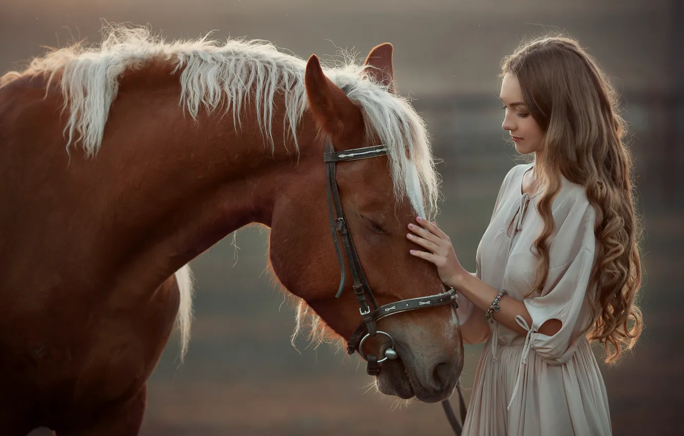 Photo wallpaper girl, horse, happy, stroking
