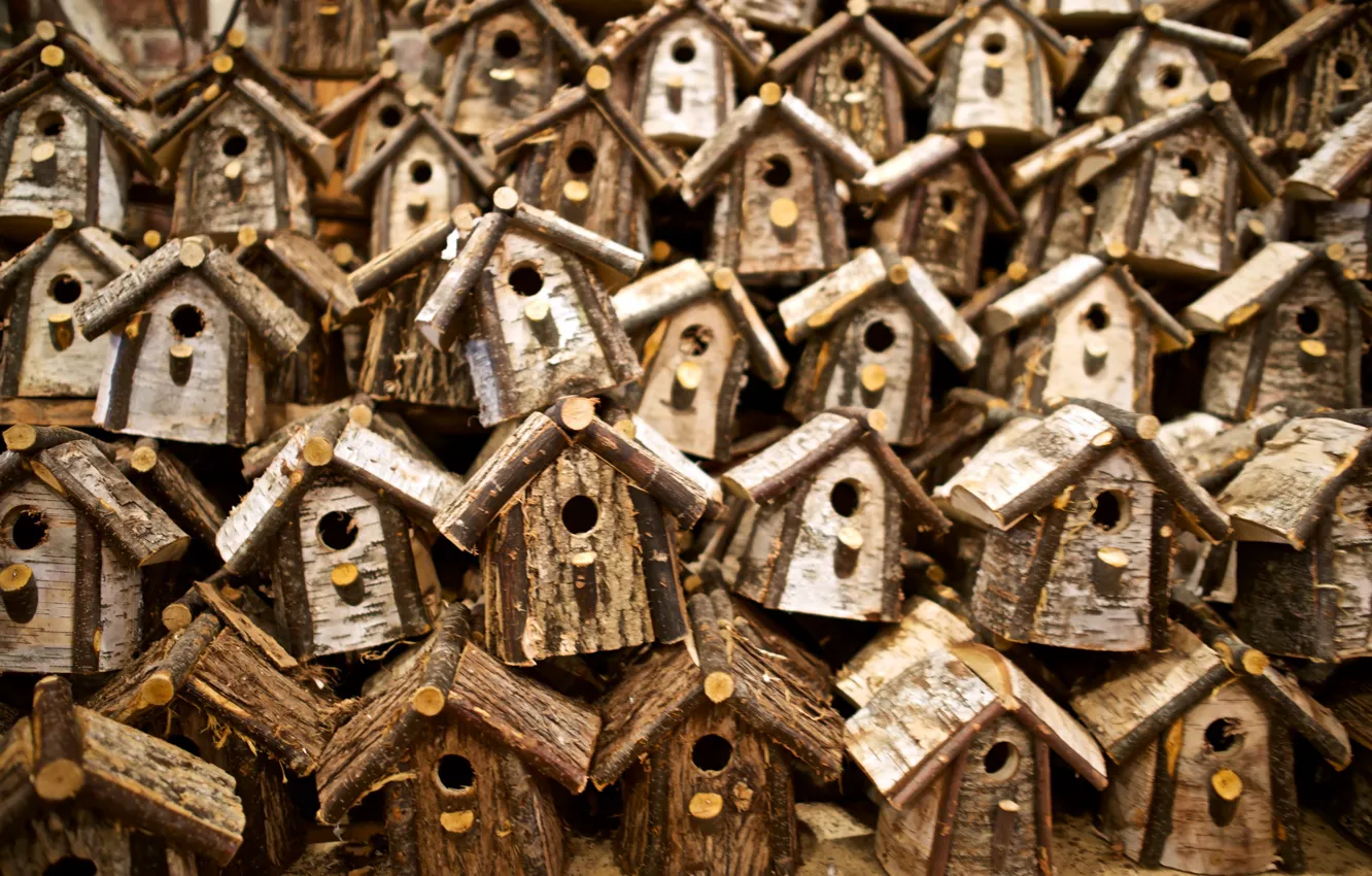 Photo wallpaper macro, background, house