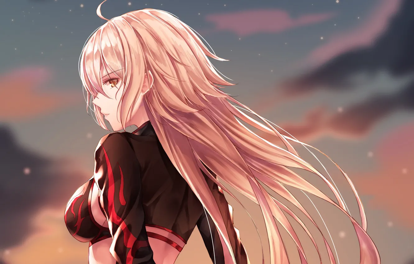 Photo wallpaper girl, the evening, Fate / Grand Order, The destiny of a great campaign