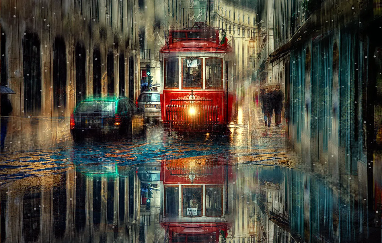 Photo wallpaper machine, the city, rain, transport, street, tram