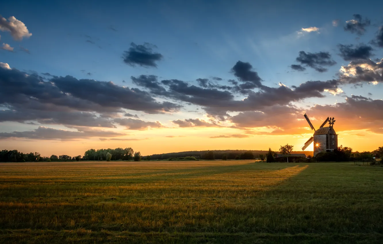 Photo wallpaper field, sunset, windmill