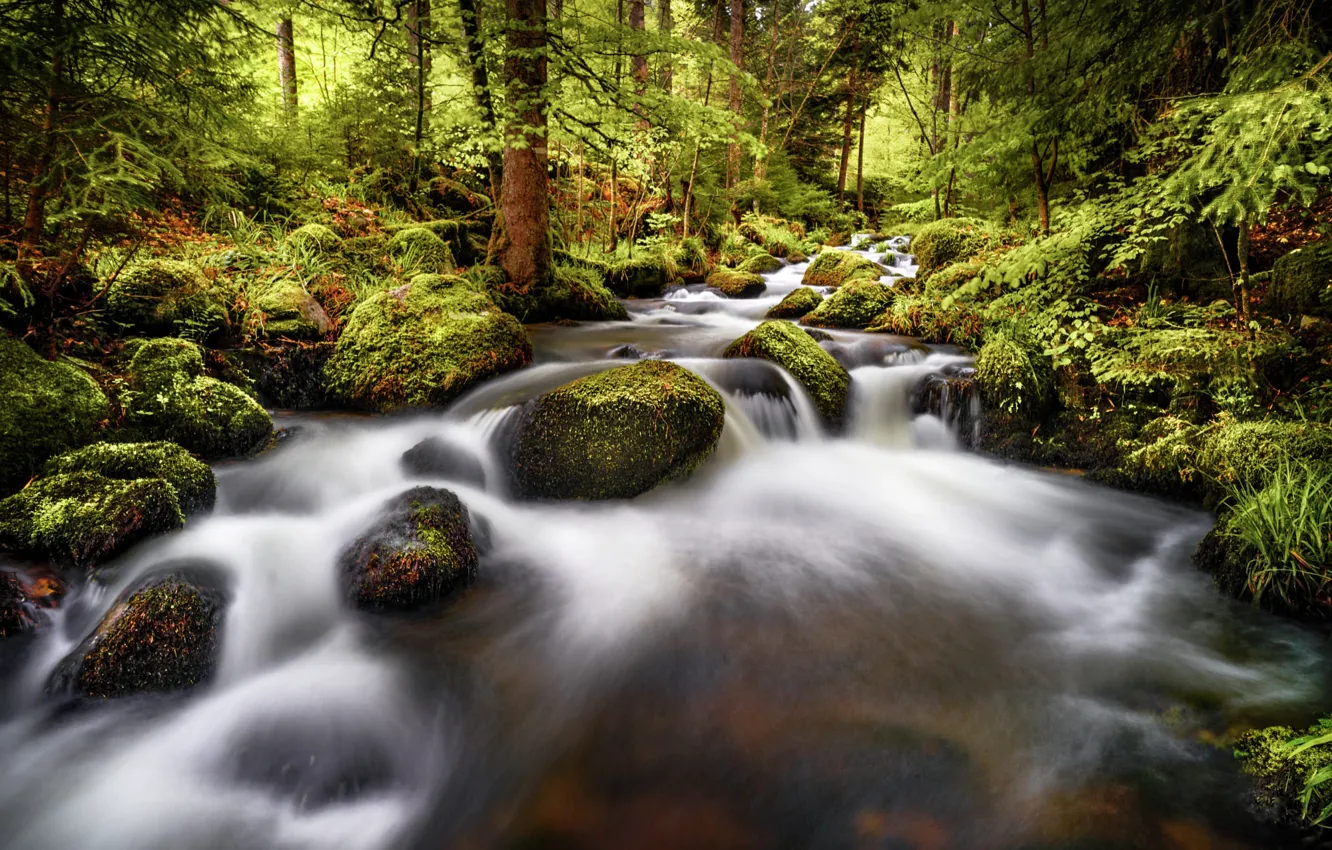 Photo wallpaper forest, landscape, nature, stream, stones, for, waterfall, Robert Didierjean