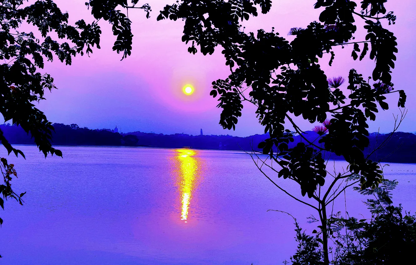 Photo wallpaper trees, water, lake, morning, sun, sunrise, dawn, woods