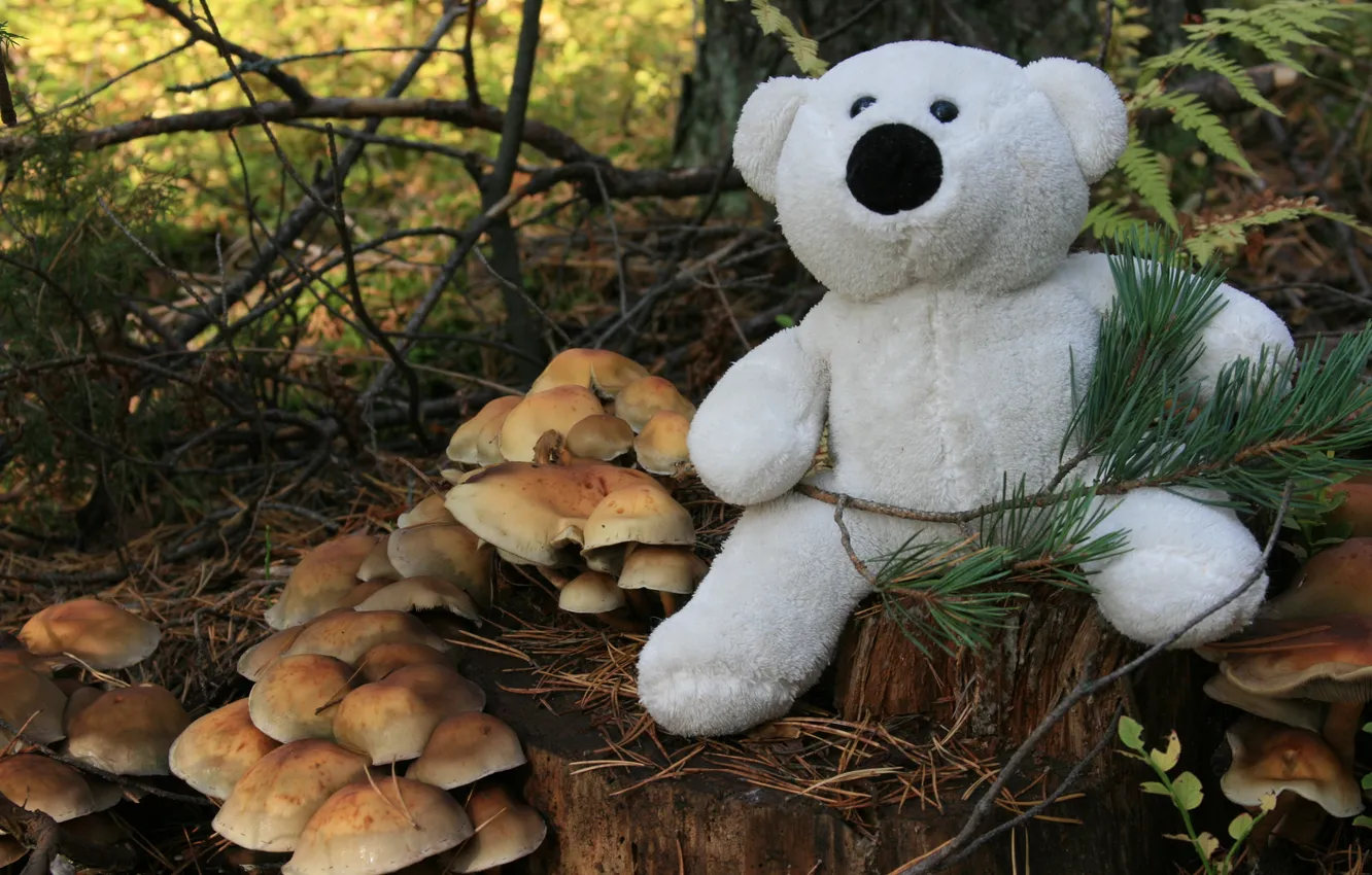 Photo wallpaper forest, white, mood, toy, mushrooms, bear, stump