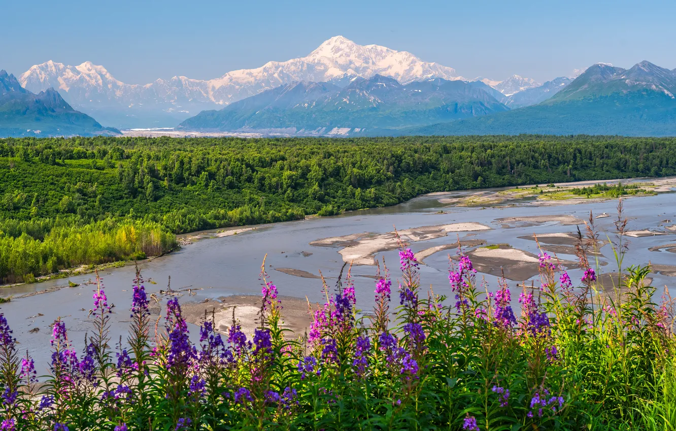 Photo wallpaper landscape, mountains, nature, river, USA, Denali National Park
