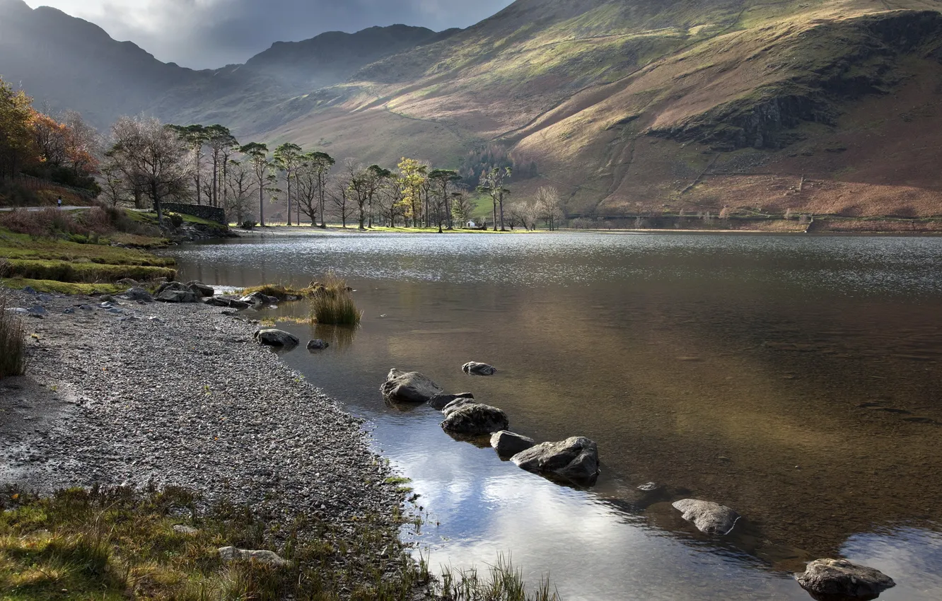 Photo wallpaper trees, landscape, mountains, nature, lake