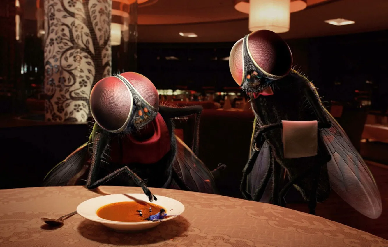 Photo wallpaper fly, people, humor, soup, Restaurant