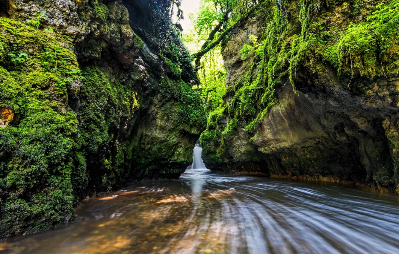 Photo wallpaper stream, stones, rocks, waterfall, moss