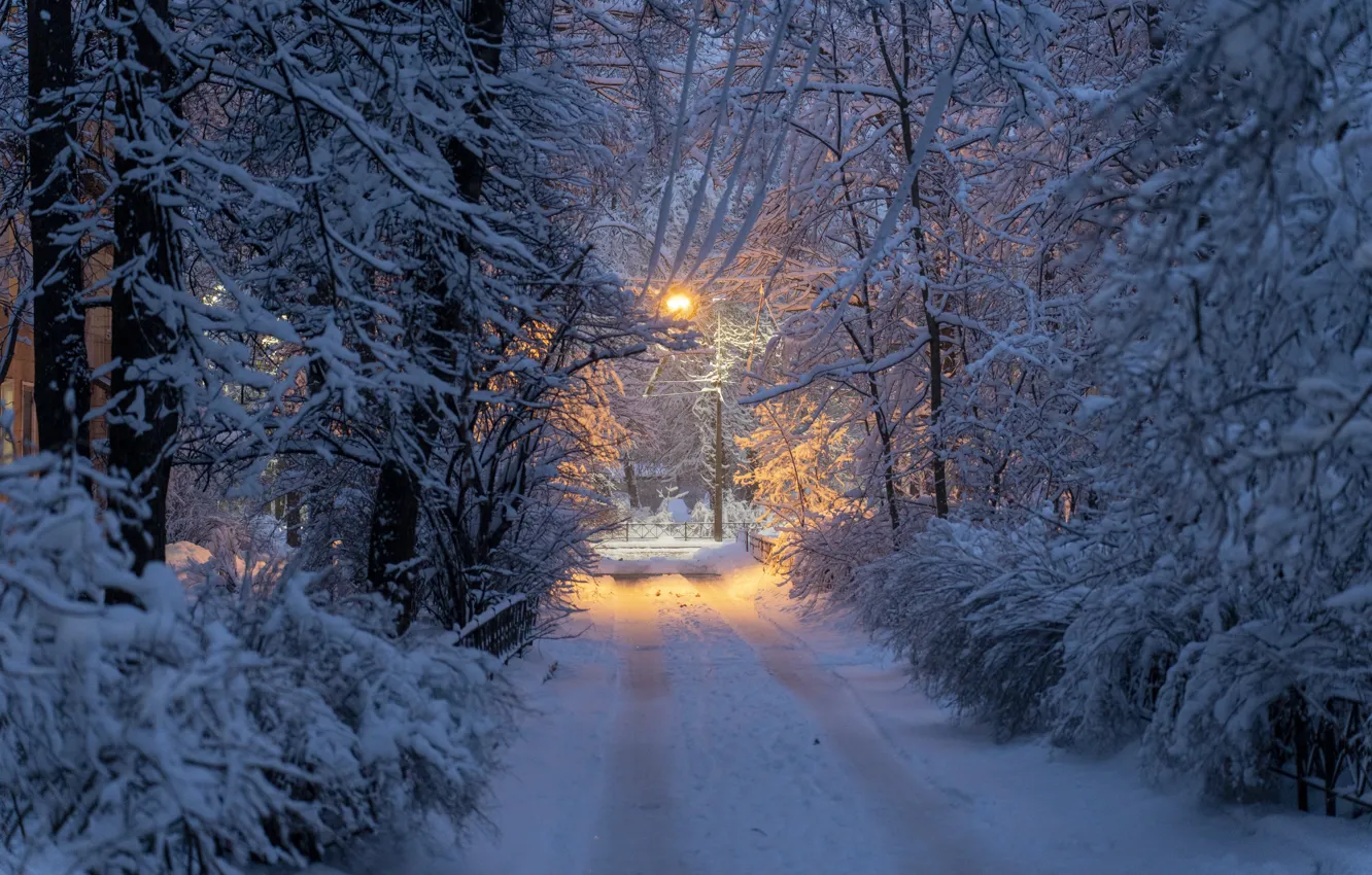 Photo wallpaper snow, street, the evening, lights