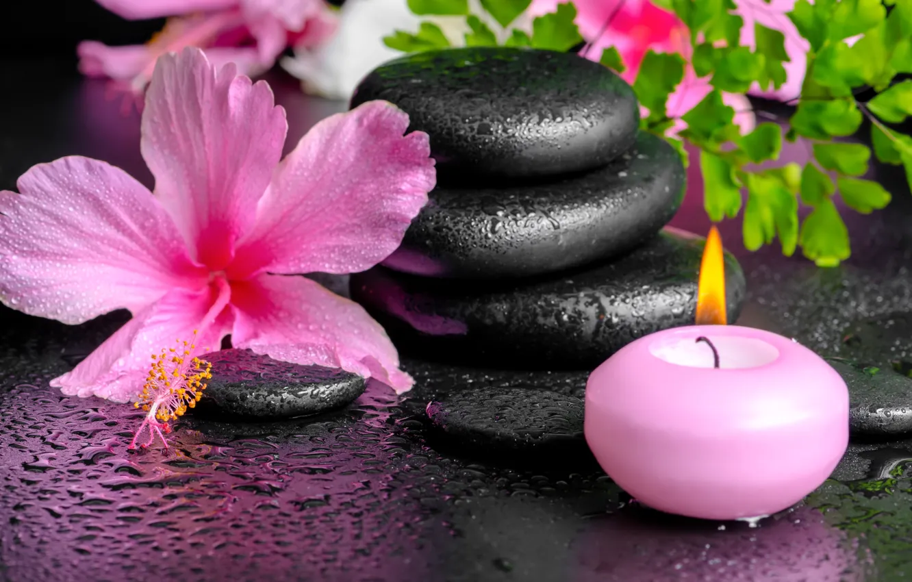 Photo wallpaper flowers, Spa, background, Spa, candles, spa stones