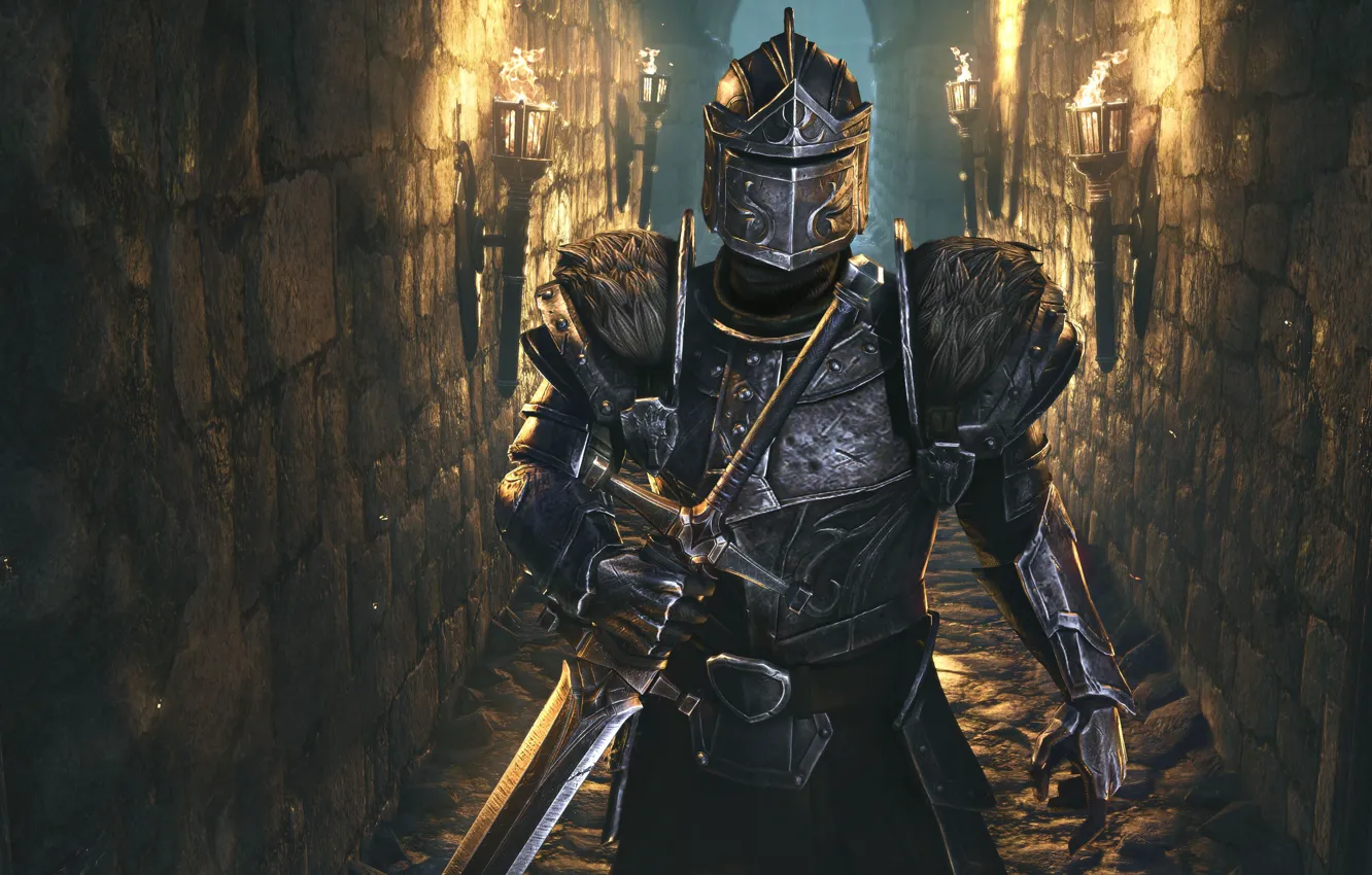 Photo wallpaper the game, game, The Elder Scrolls Online, A computer game in the MMORPG genre, ZeniMax …