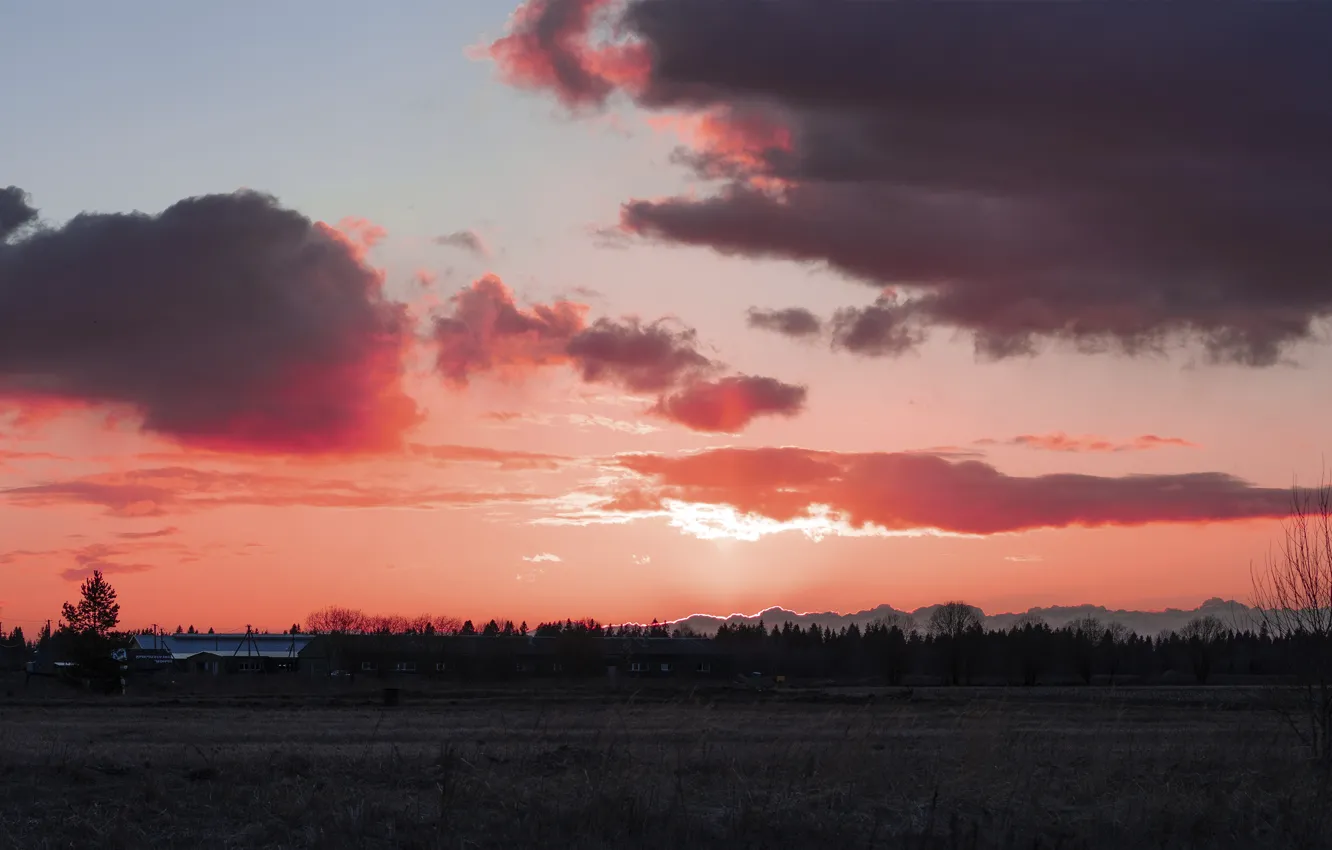 Photo wallpaper field, landscape, Sunset, pink sunset