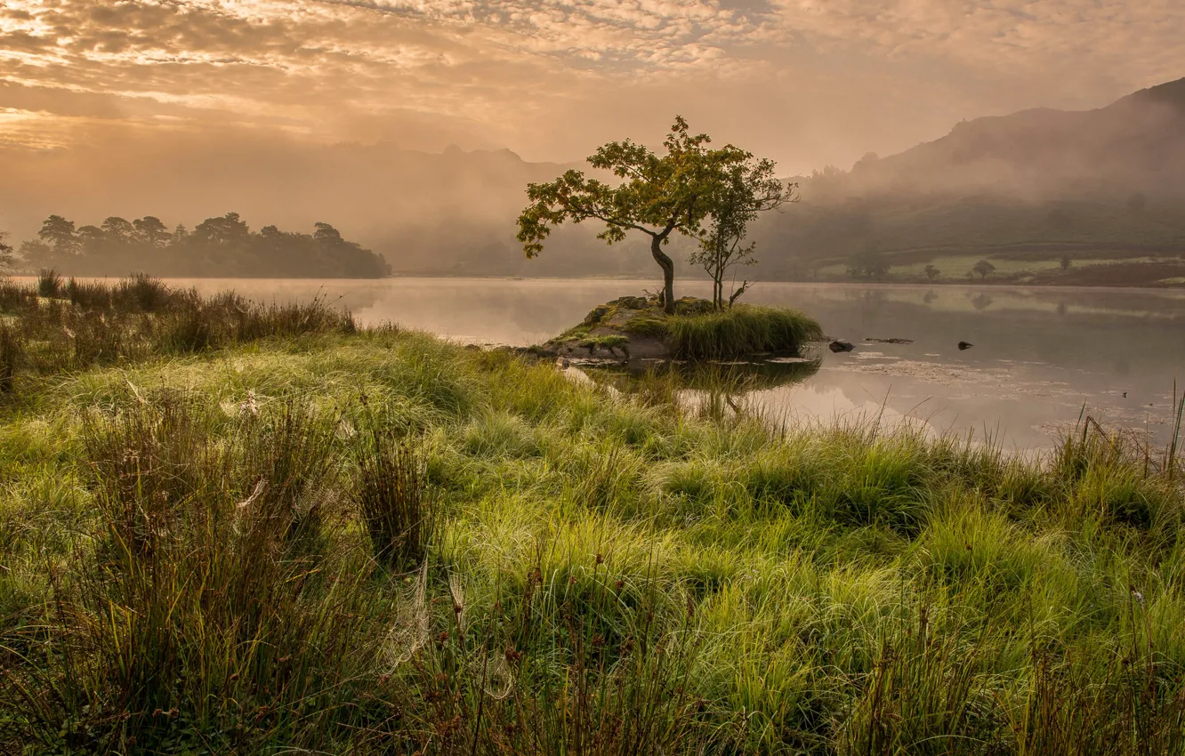 Photo wallpaper grass, trees, mountains, fog, lake, England, morning