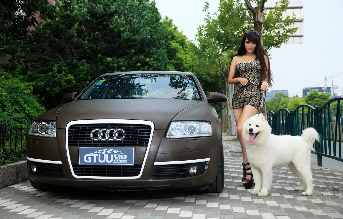 Photo wallpaper girl, dog, car