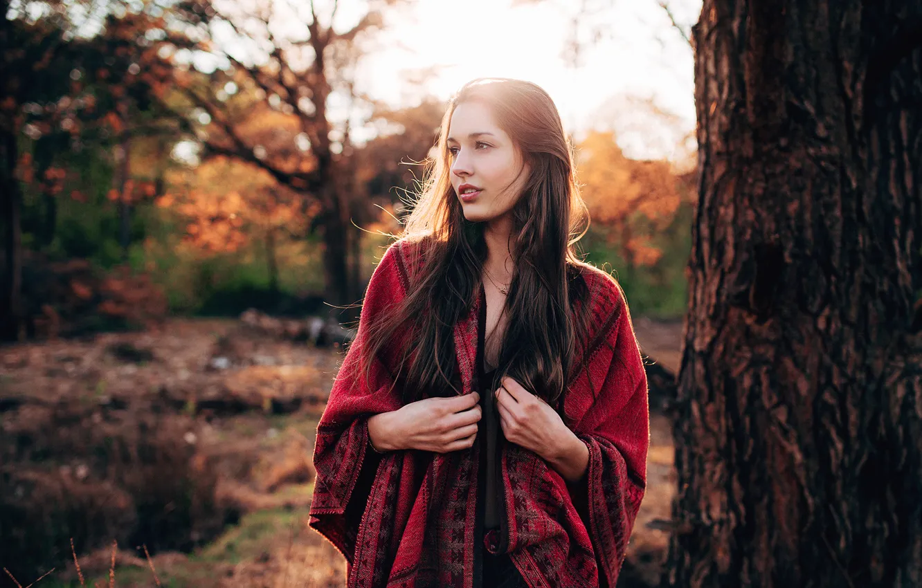 Photo wallpaper forest, girl, brunette