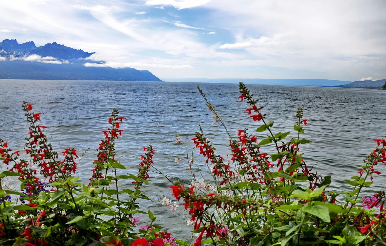 Photo wallpaper sea, mountains, photo, Switzerland, horizon, Montreux