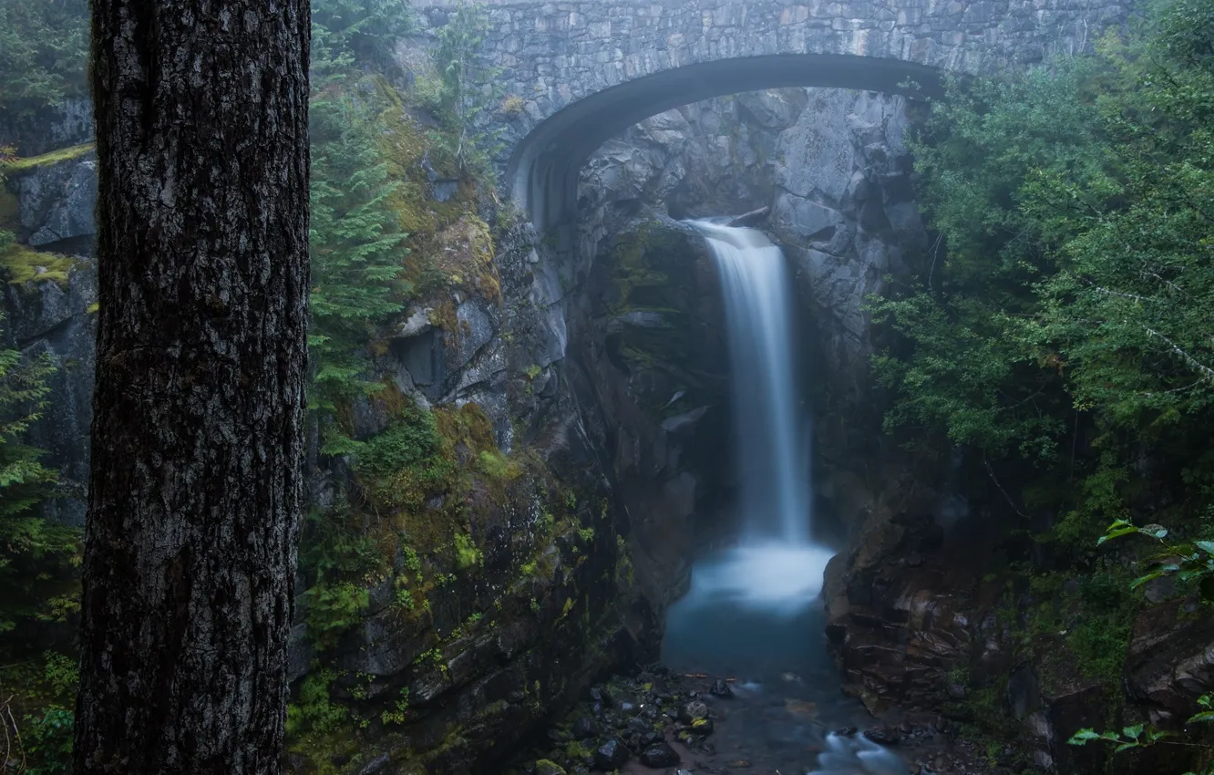 Photo wallpaper water, trees, bridge, USA, USA, Washington, Washington, Mount Rainier National Park
