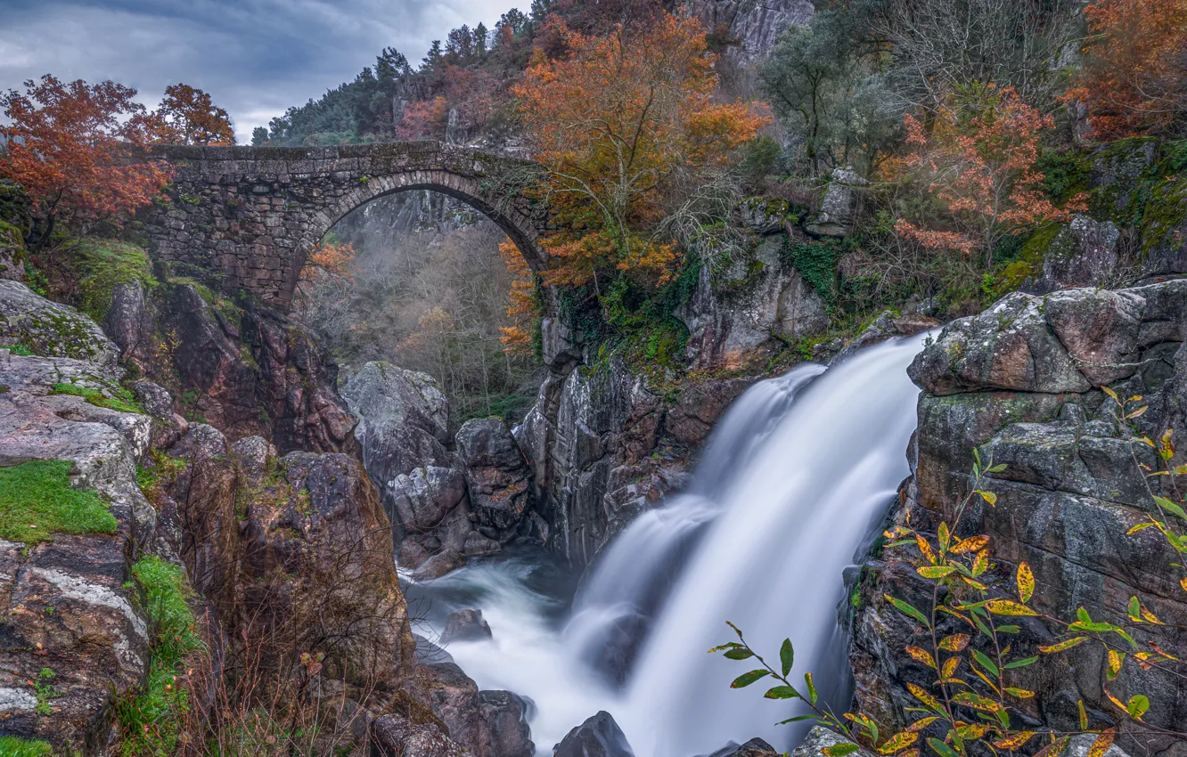 Photo wallpaper autumn, trees, bridge, river, stones, waterfall, Portugal