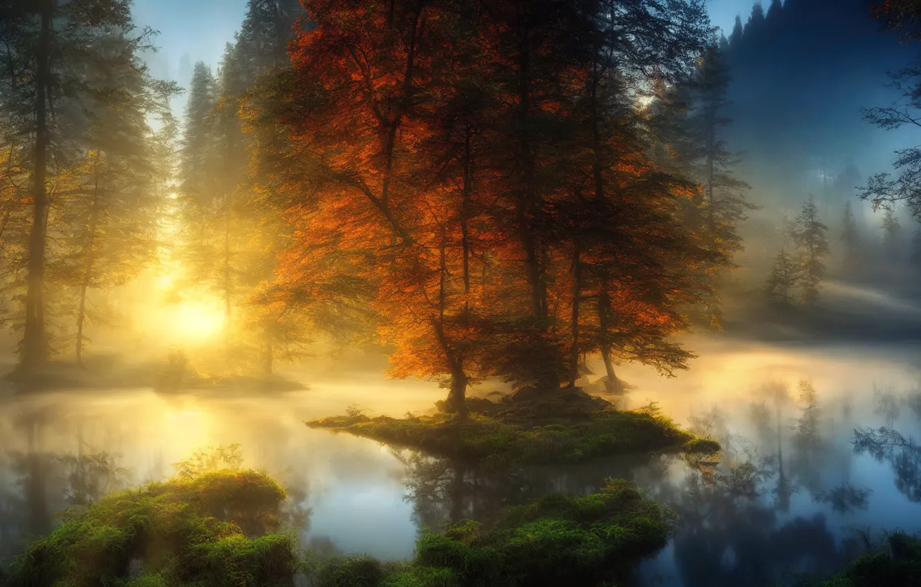 Photo wallpaper autumn, forest, the sun, light, trees, nature, fog, lake