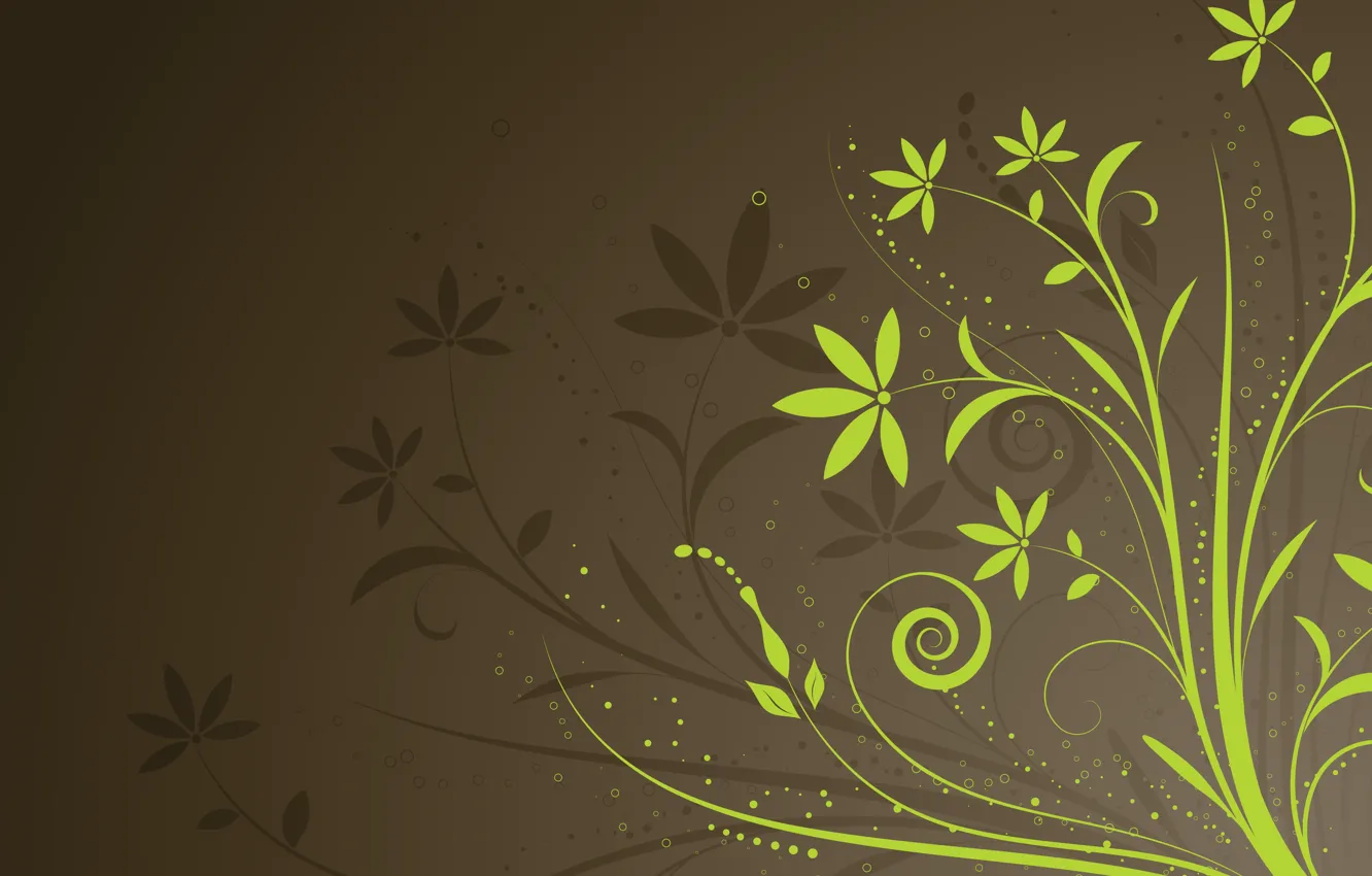 Photo wallpaper flowers, green, colors, texture, brown, background, brown background, floral