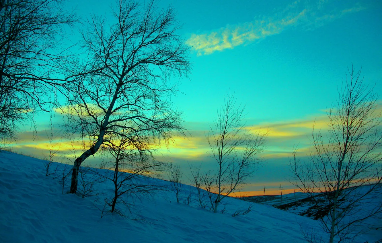 Photo wallpaper winter, the sky, snow, sunset, the evening