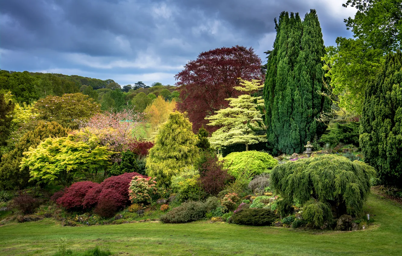 Photo wallpaper trees, design, Park, lawn, UK, the bushes, Kent, Faversham