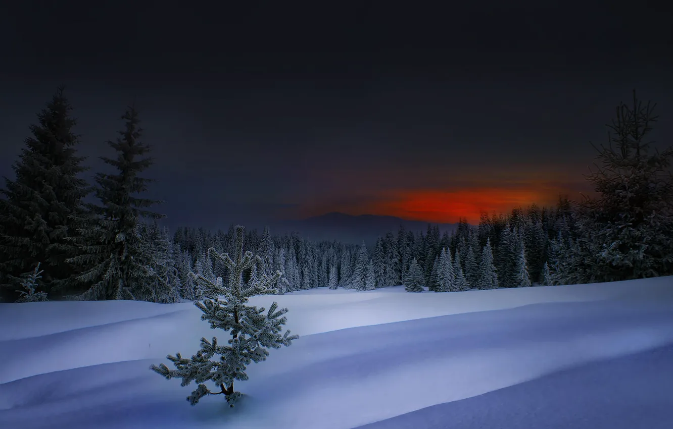 Photo wallpaper winter, sunset, Bulgaria, Winter in Rhodope, Rodopi