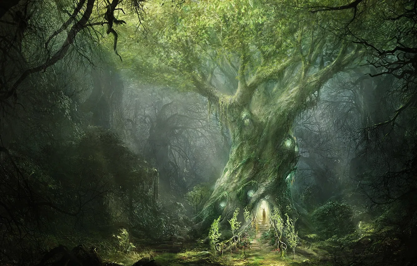 Photo wallpaper forest, tree, art, MAG, entrance, Lord of The Rings, War In The North, Ilya Nazarov