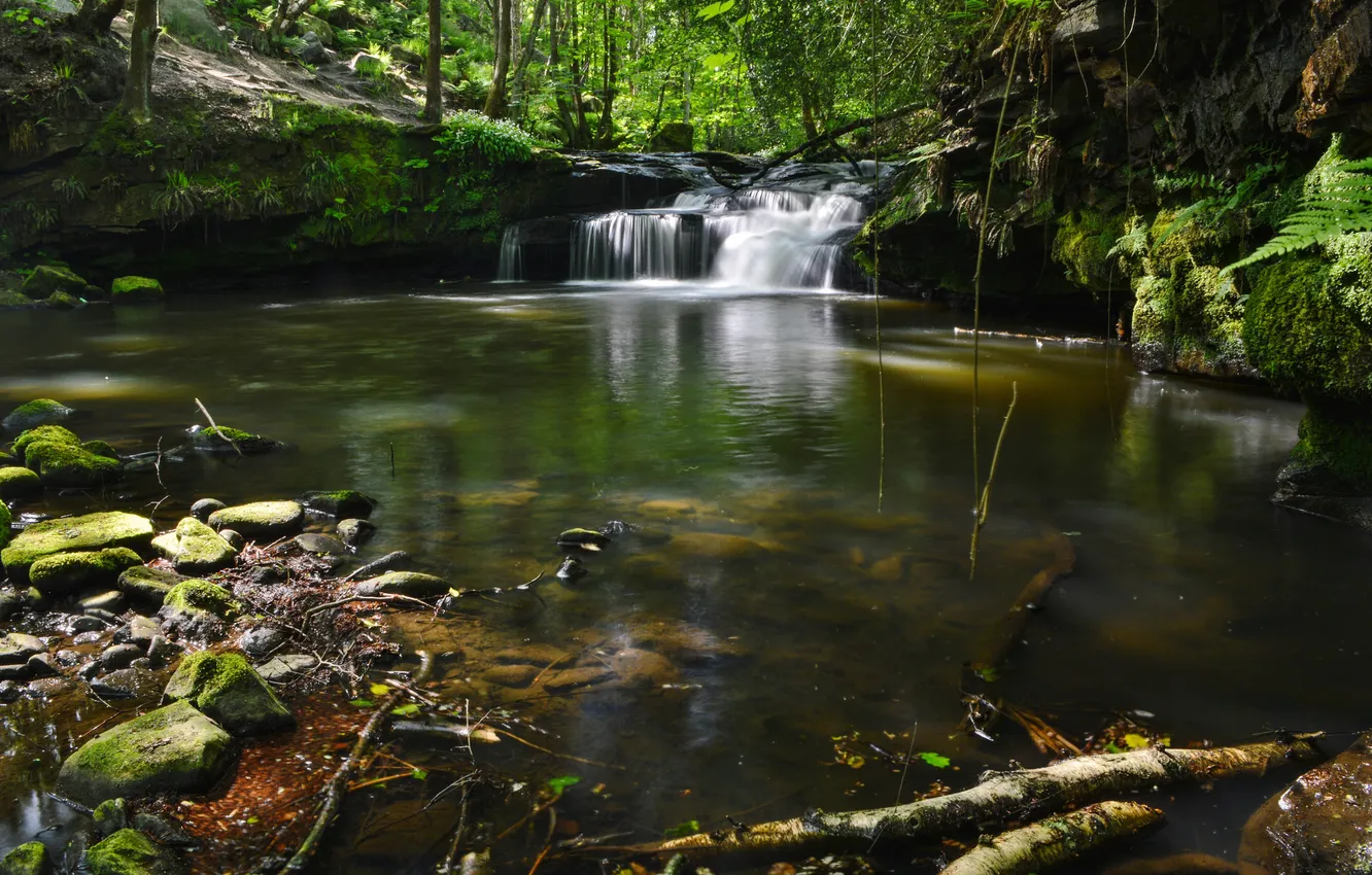 Photo wallpaper forest, river, waterfall