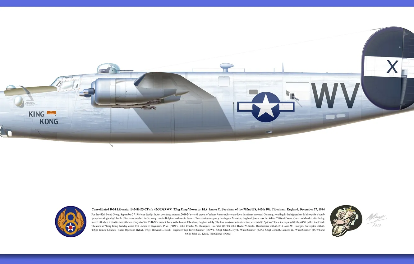 Photo wallpaper design, American, p 51d decals