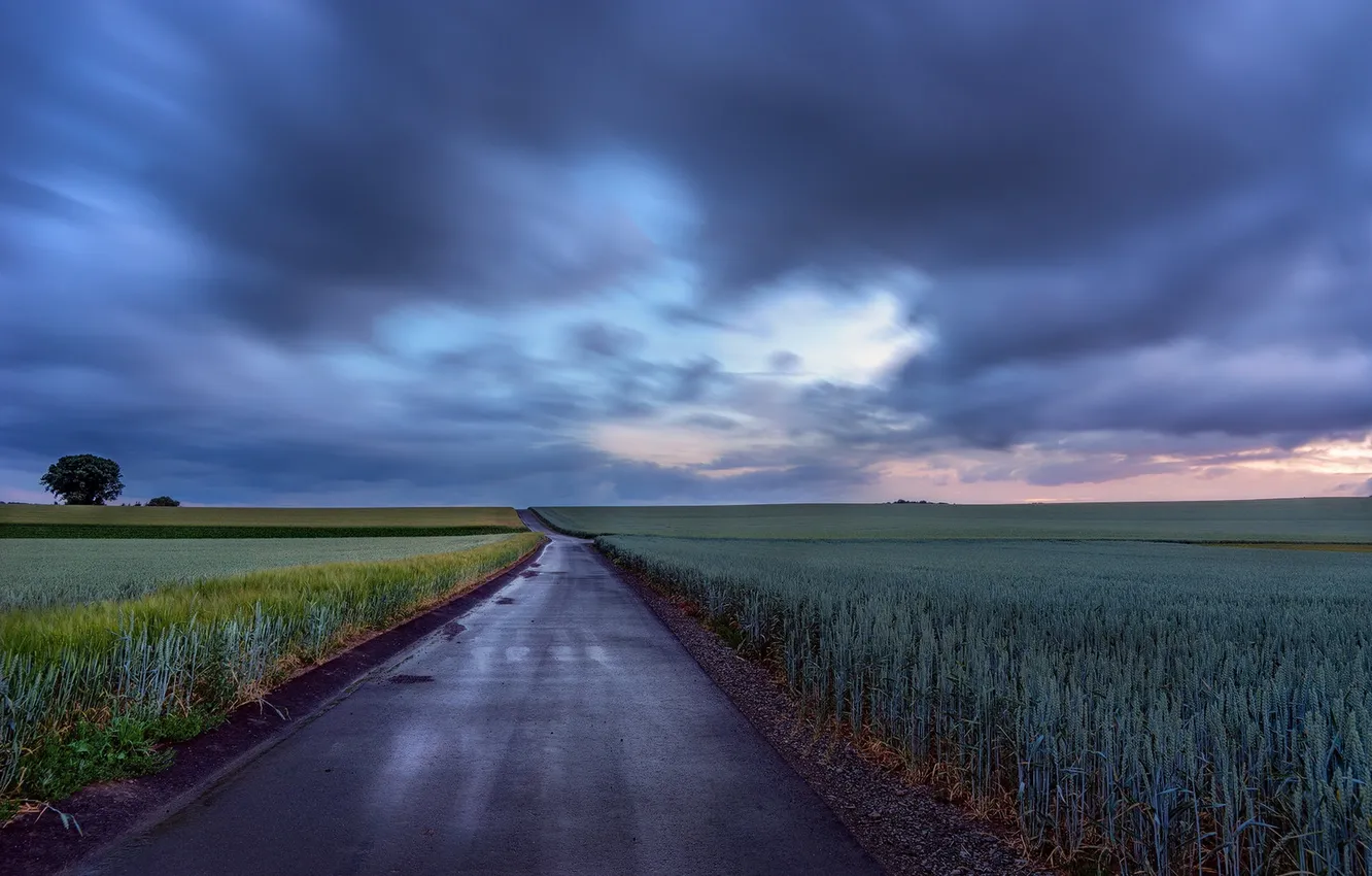 Photo wallpaper road, field, the evening
