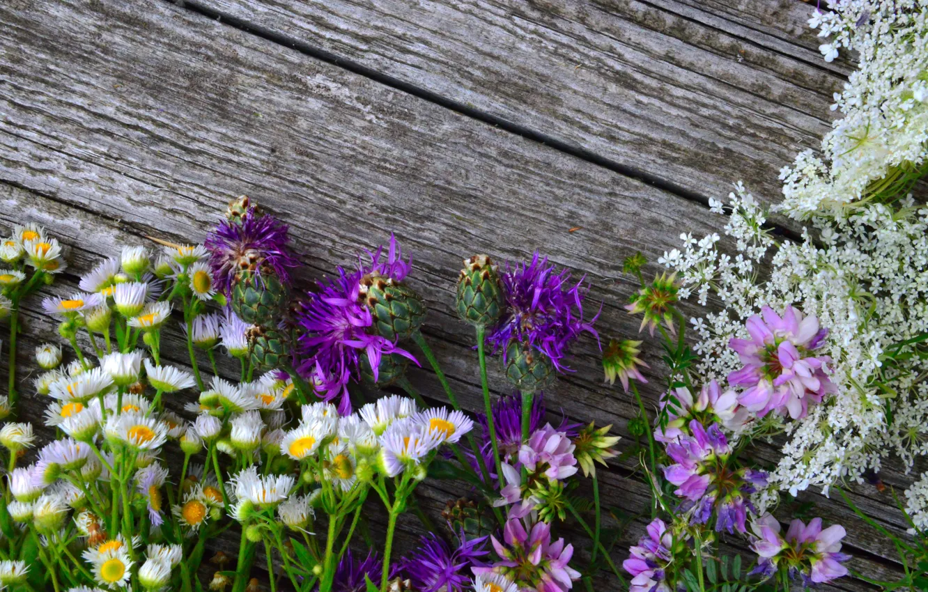 Photo wallpaper trees, background, lilac, wildflowers