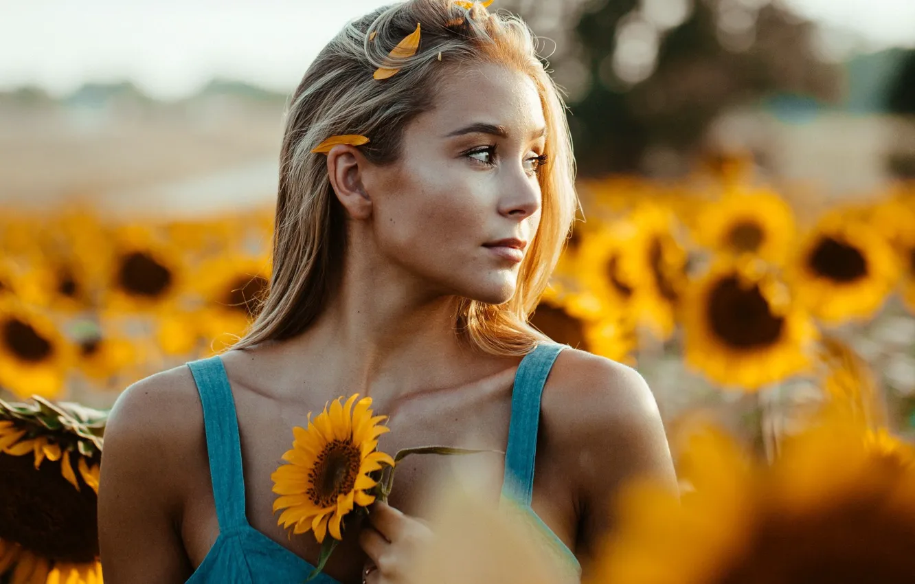 Photo wallpaper field, summer, look, girl, the sun, light, sunflowers, flowers