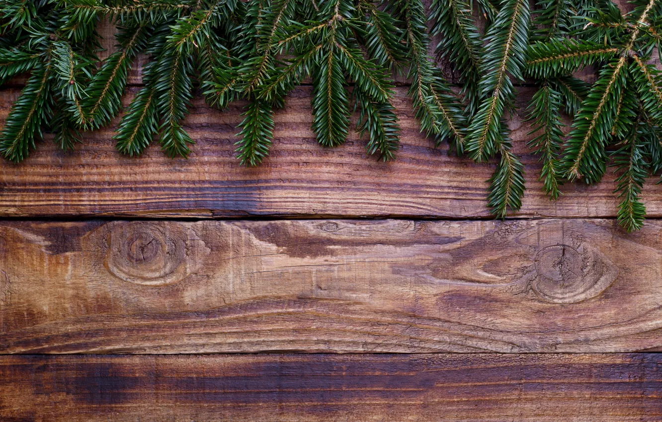 Photo wallpaper background, tree, Board, tree, Christmas, wood, background, fir tree
