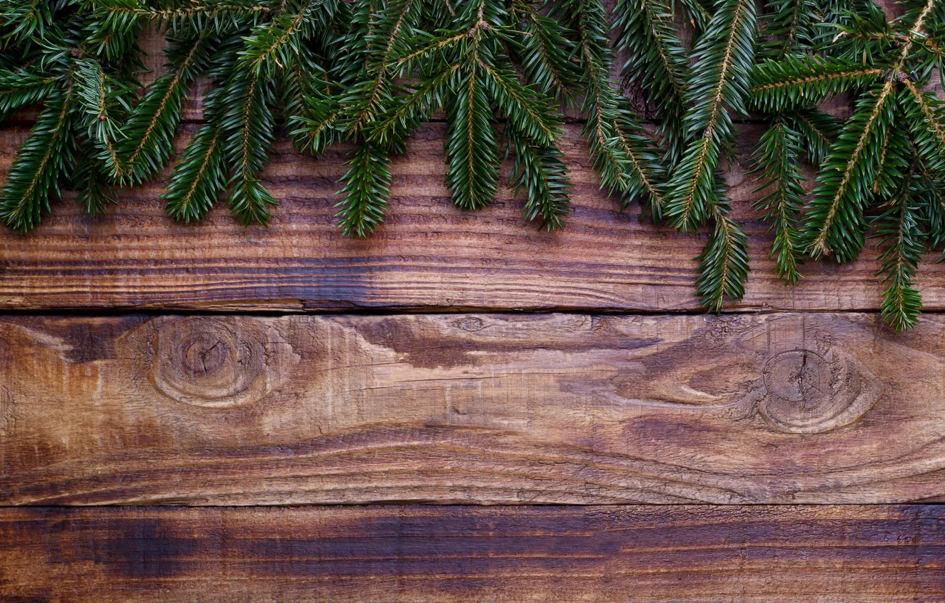 Photo wallpaper trees, background, Board, tree, Christmas, wood, background, fir tree