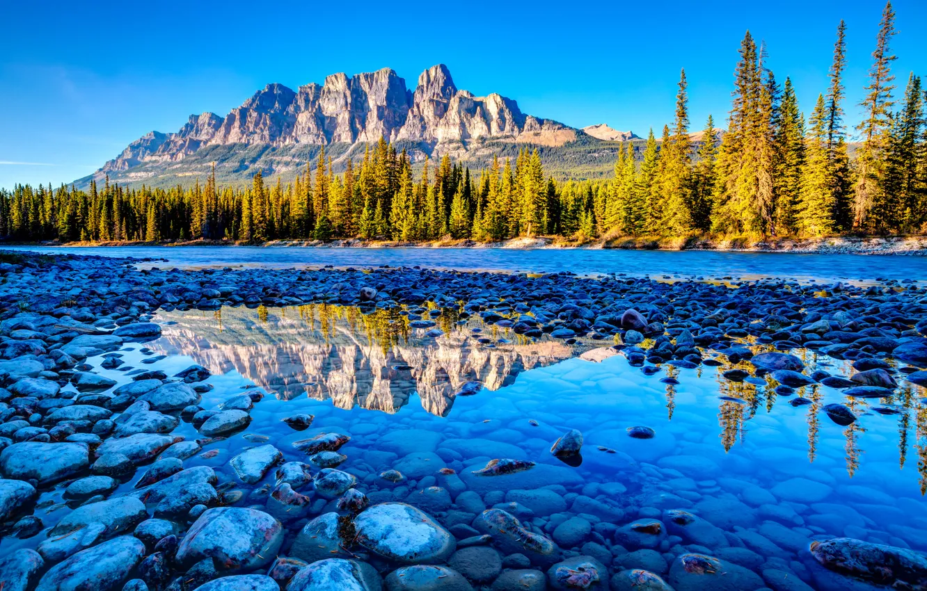 Photo wallpaper forest, mountains, nature, stones