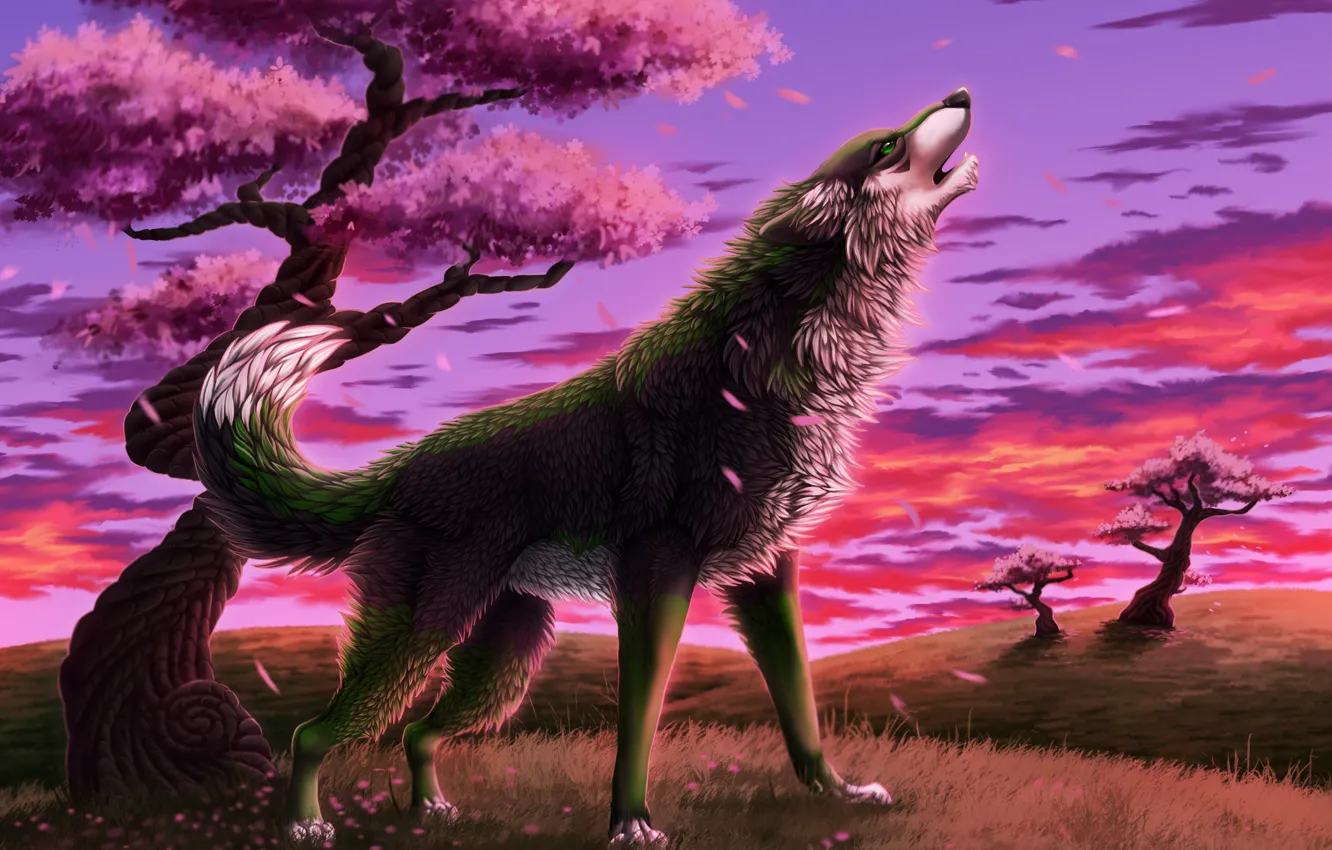 Photo wallpaper grass, trees, wolf, spring, petals, Sakura, art, howling