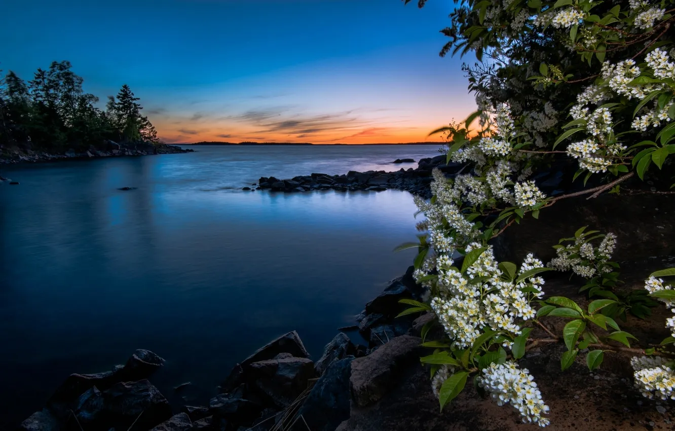 Photo wallpaper sunset, Sweden, Sweden, cherry, Norrvreta, The sea of åland