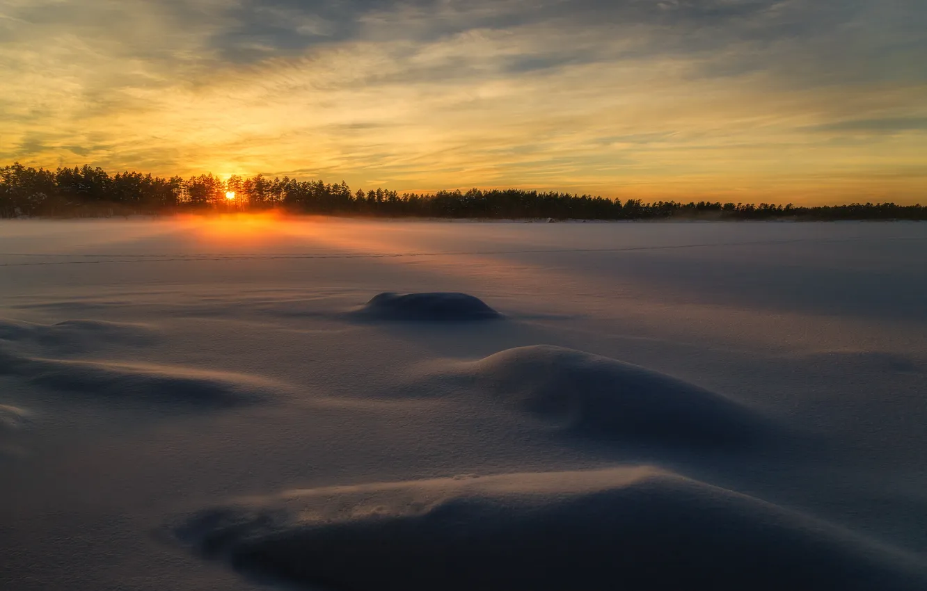 Photo wallpaper winter, field, snow, morning