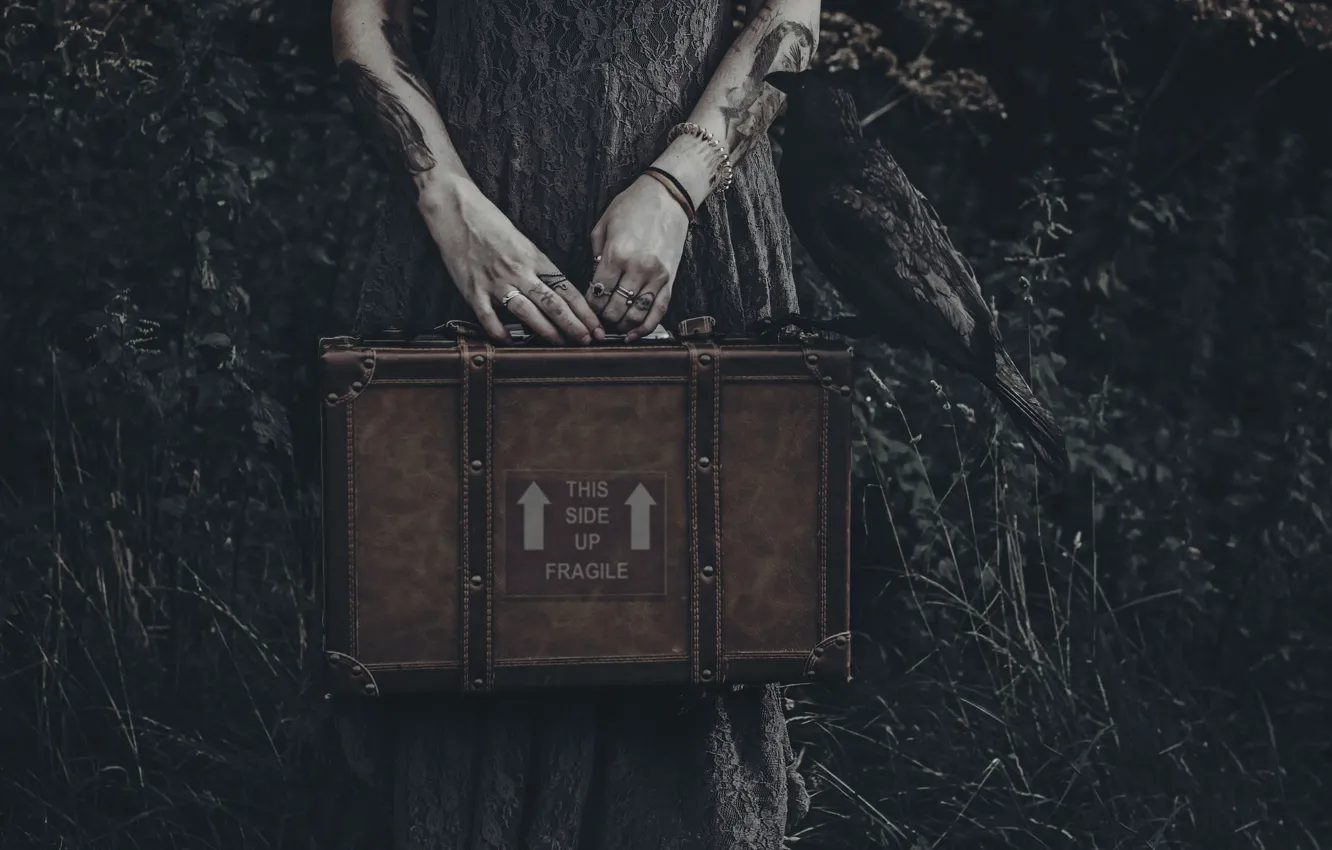 Photo wallpaper hands, suitcase, crow, Lucz Anne Fowler