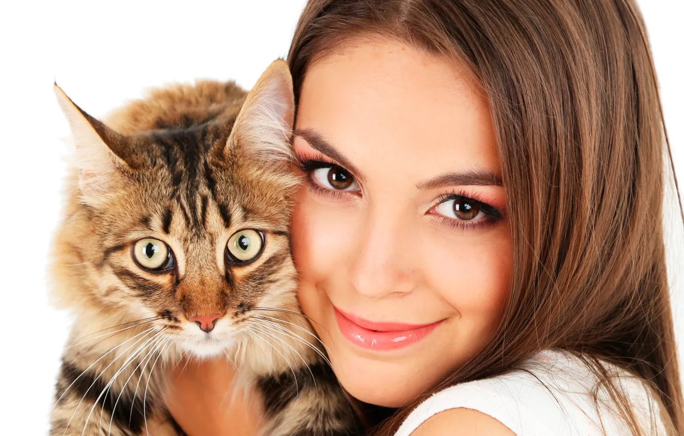 Photo wallpaper cat, look, brown hair, face, smile, hairstyle, makeup, white background, muzzle, girl