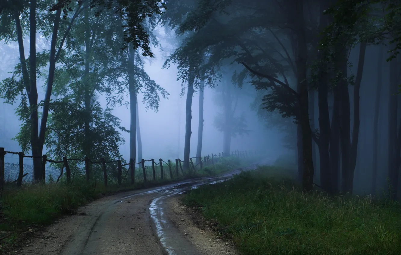 Photo wallpaper road, fog, the unknown