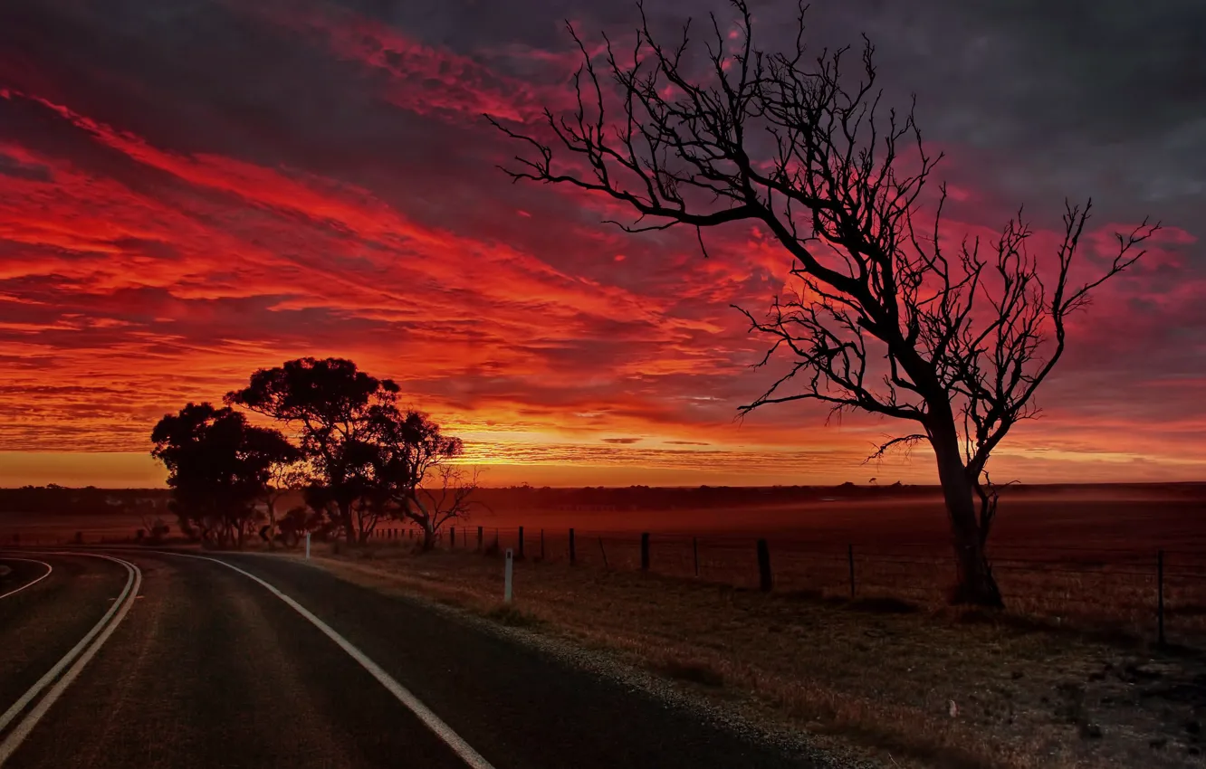 Photo wallpaper road, trees, glow